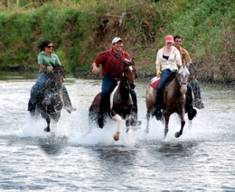 Costa Rica horseback riding adventure tours with Serendipity
