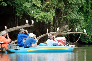 Costa Rica adventure travel: nature watching from silent boats in  Costa Rica Rio Frio.