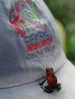 Poison Arrow frog on Serendipity hat