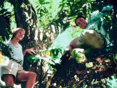 Costa Rica Honeymooners climbing a tree.
