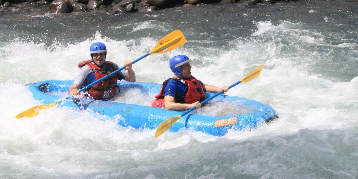 duckysarapiquifabian