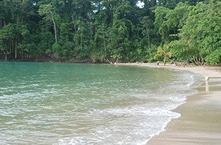 quiet sandy beach in Costa Rica