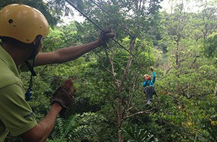 zipliners speeds toward guide in costa rica canopy