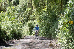 man rides mountain bike through tropical setting in costa rica
