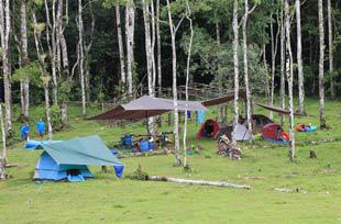 a private campsite with several tents at the edge of the jungle in costa rica
