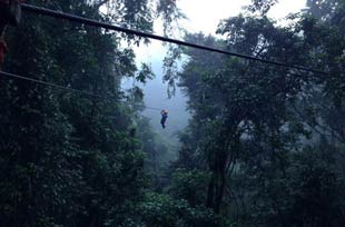 a person ziplines in the distance through the tree canopy in costa rica