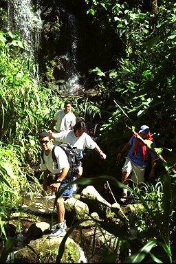 One kind of hiking — where the mission is to see the waterfalls, and birds, and lizards and other critters, and stay cool and hot at the same time. Shown here is one of Serendipity's private hiking places near Turrialba.