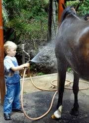 And Venado, mom's horse, likes the shower, too.