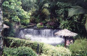 Tabacon Hot Springs is the biggest commercial hot springs near Arenal Volcano, catering to more than a thousand tourists a day.