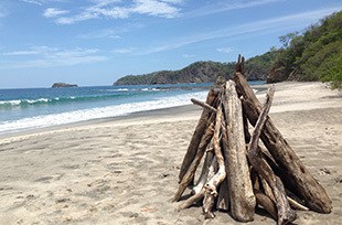 driftwood pile on a sunny Costa Rica beach