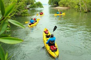 kayaks paddling out to sea on personalized costa rica adventure