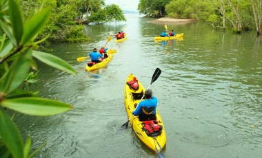 Sea kayaking interior rivers - a silent and personal way to see nature.