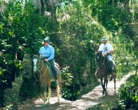 Once you are in Costa Rica, you must keep a copy of your passport with you whenever you travel, even when traveling by horseback.