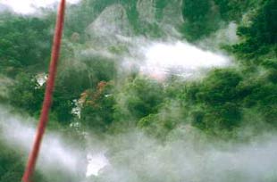 a view of the cloud forest from a hot air balloon in costa rica
