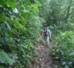 Hiking in rain forest in Costa Rica