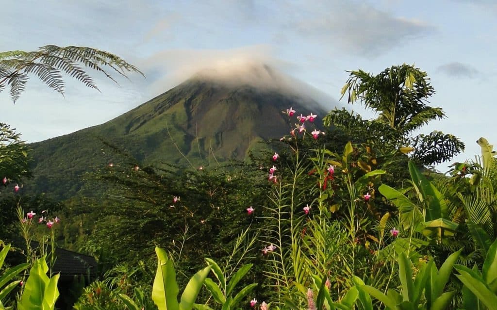 A view of tropical plants in Costa Rica with the Arenal Volcano in the distance