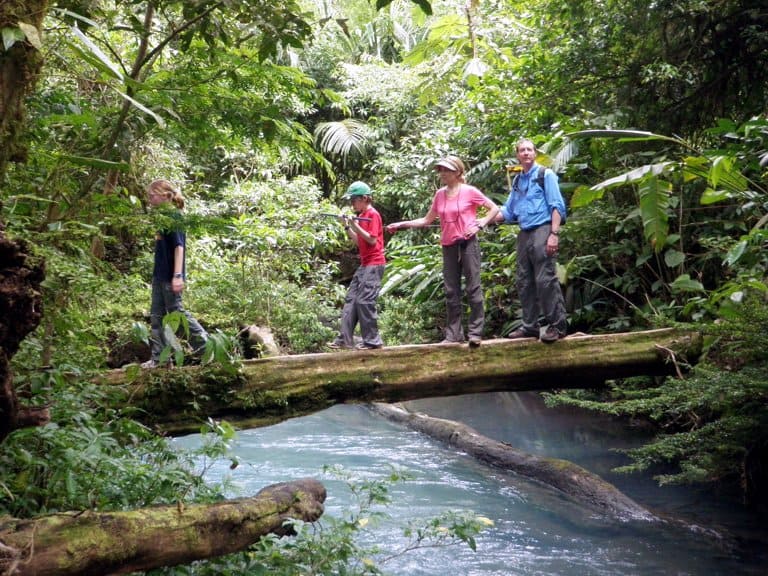 A family walking along a tree trunk over a river with clear blue water