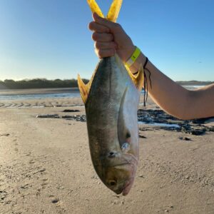 Fresh fish caught on a boat tour from Tamarindo, Costa Rica