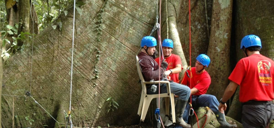 a disabled traveler being assisted on our treeclimbing activity on an accessible adventure in Costa Rica
