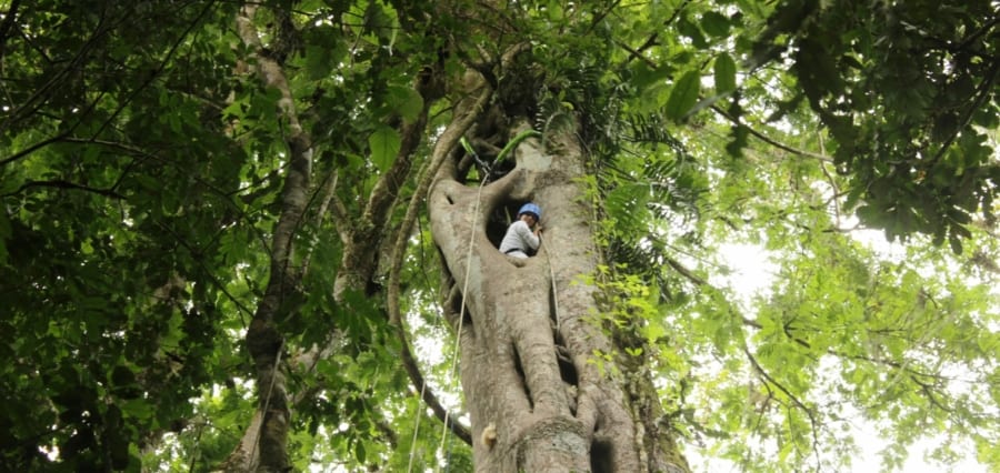 adventure tree climbing on a teambuilding trip in Costa Rica