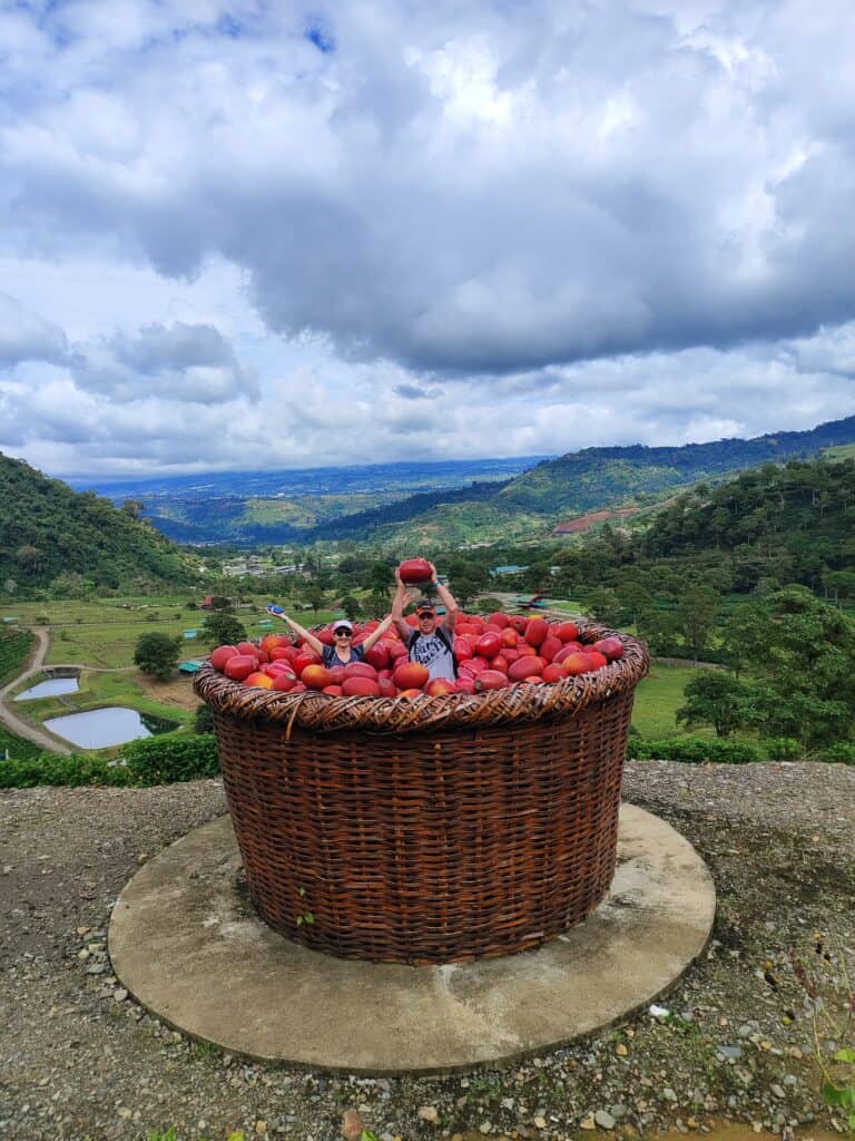giant coffee basket sculpture at Hacienda Orosi