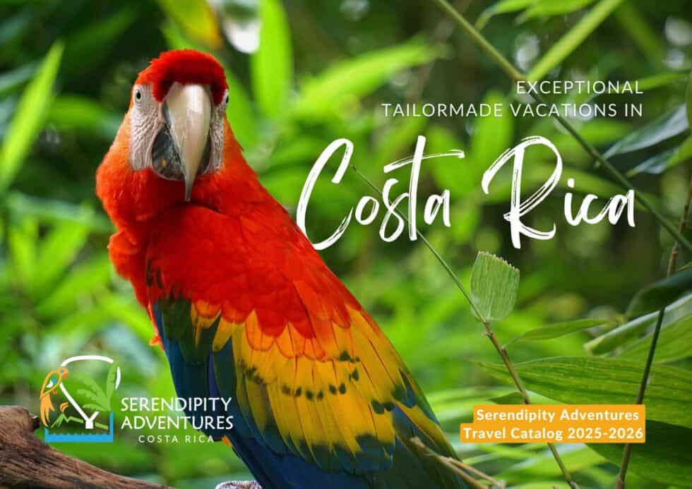 Our Travel Brochure Serendipity Adventures