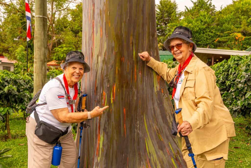 Two senior women standing either side of a large Indio Desnudo tree in Costa Rica